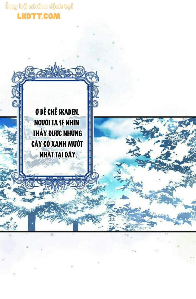 Mylord, Nữ Hoàng Của Loài Sói! Chapter 20 - 24