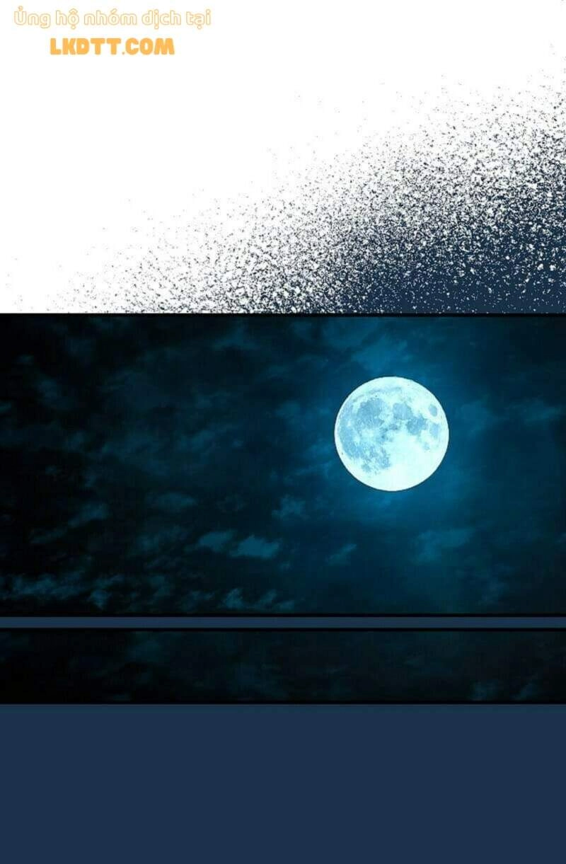 Mylord, Nữ Hoàng Của Loài Sói! Chapter 21 - 13