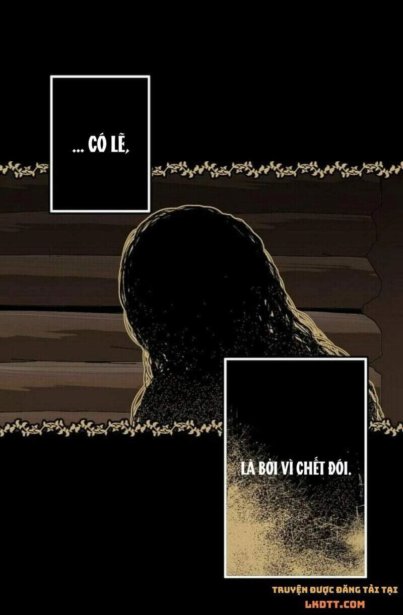 Mylord, Nữ Hoàng Của Loài Sói! Chapter 23 - 29