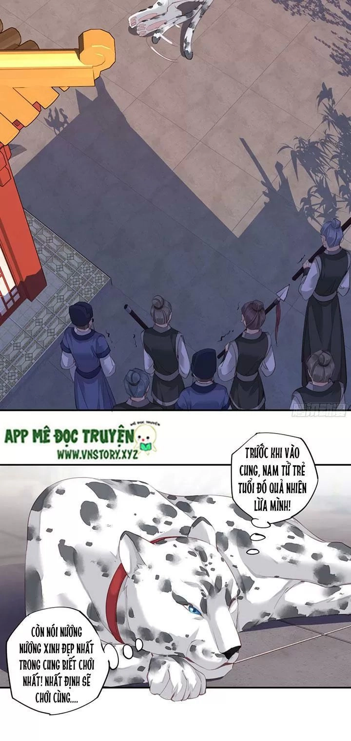 Hoàng Hậu Ương Bướng Chapter 172 - 14