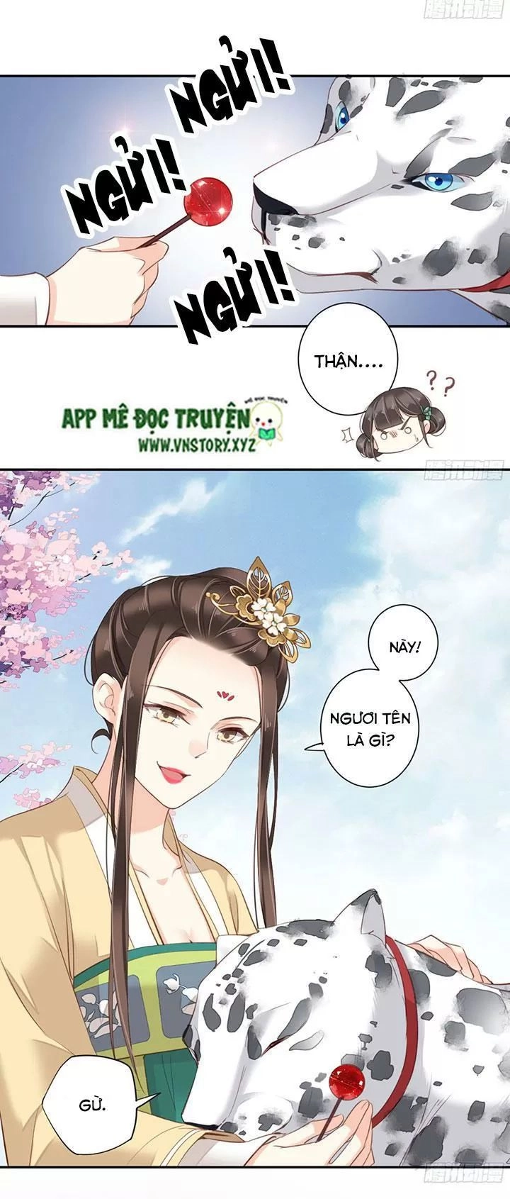 Hoàng Hậu Ương Bướng Chapter 172 - 24