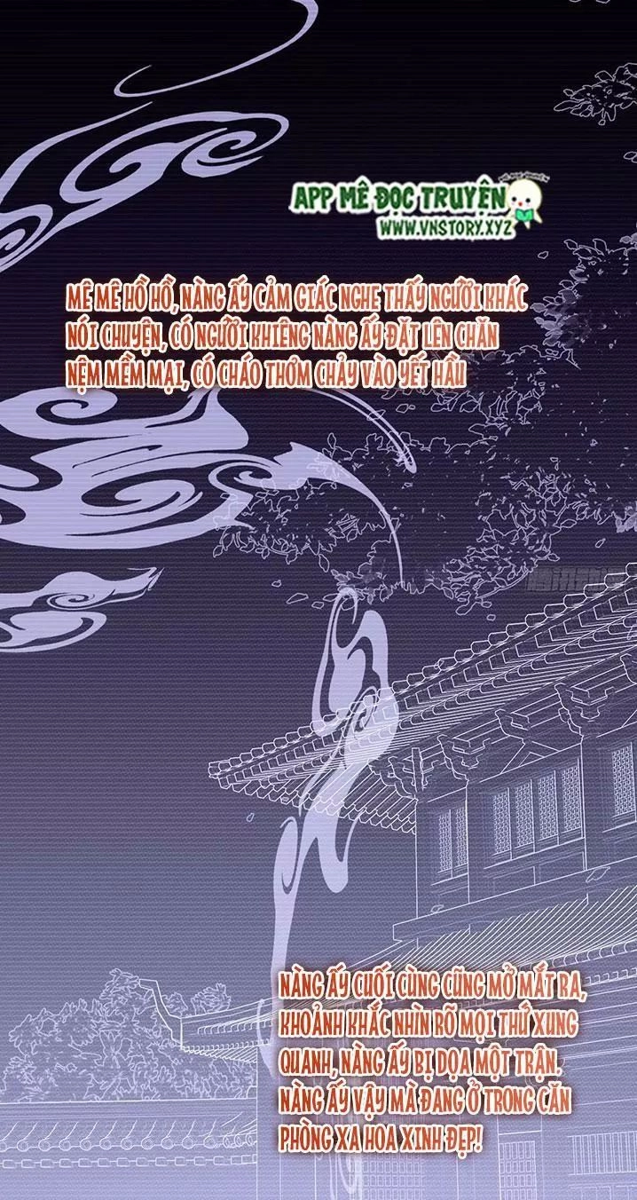 Hoàng Hậu Ương Bướng Chapter 184 - 5