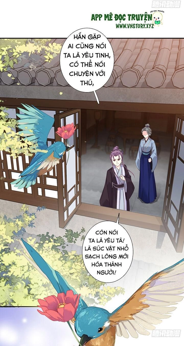 Hoàng Hậu Ương Bướng Chapter 198 - 5