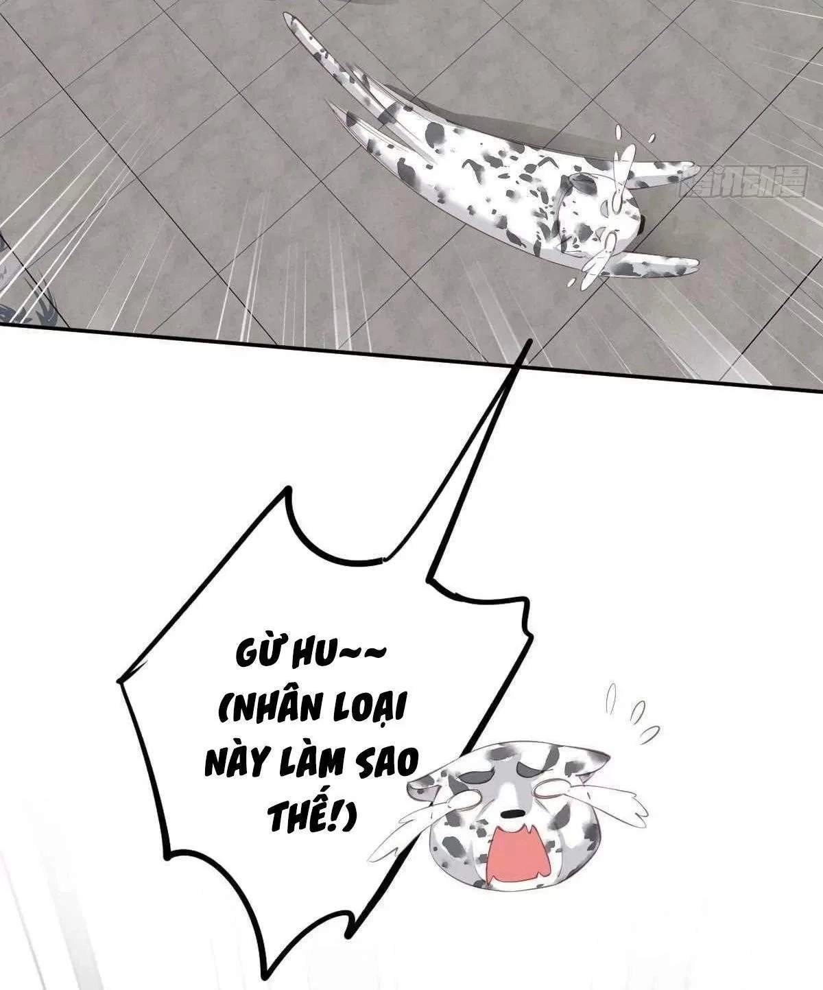 Hoàng Hậu Ương Bướng Chapter 303 - 2