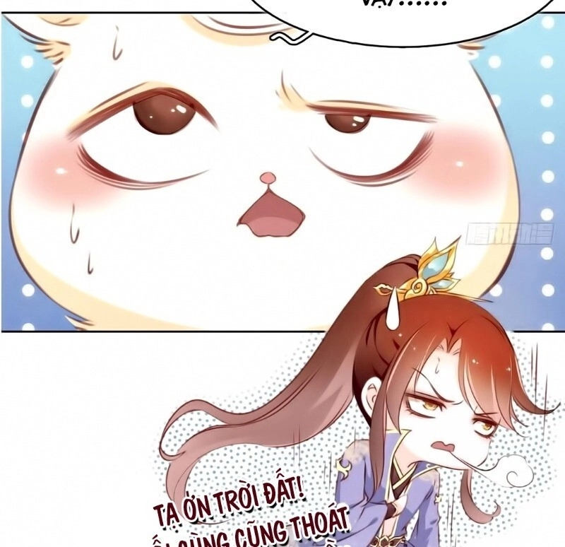 Nàng Trở Thành Bạch Nguyệt Quang Của Vương Gia Bệnh Kiều Chapter 1 - 40