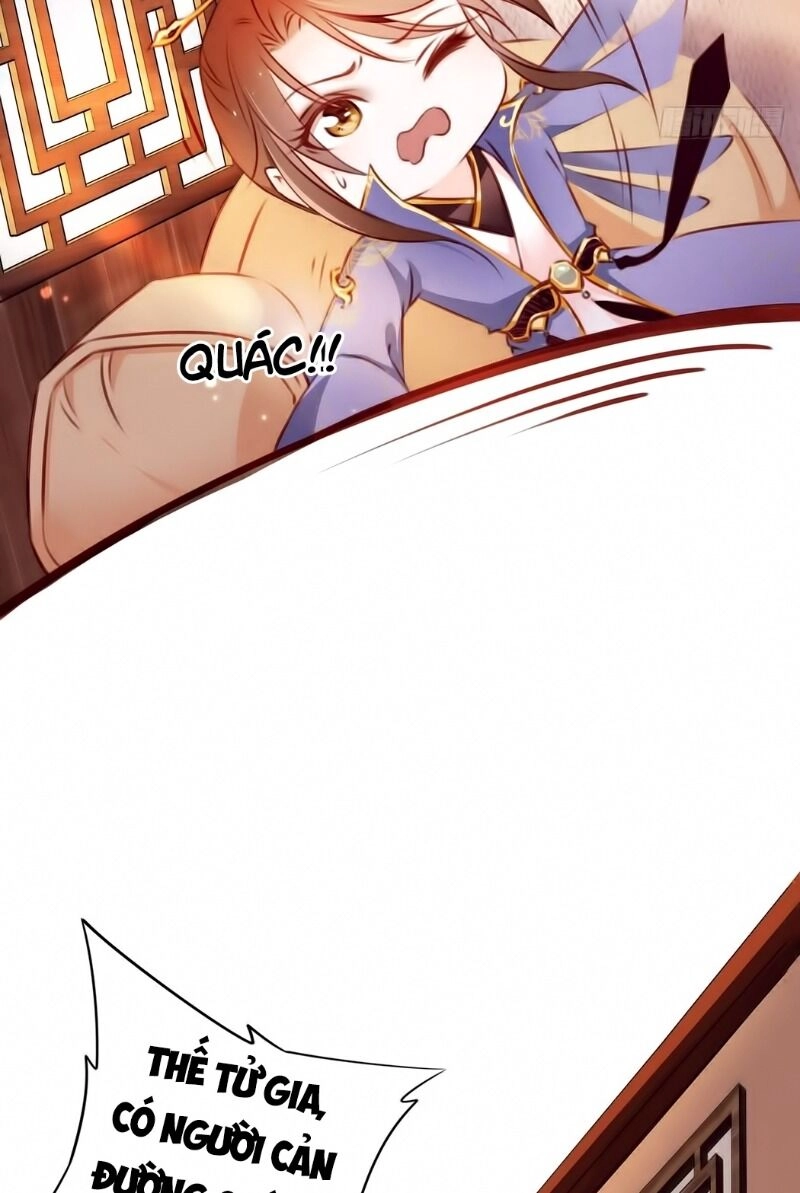 Nàng Trở Thành Bạch Nguyệt Quang Của Vương Gia Bệnh Kiều Chapter 2 - 28