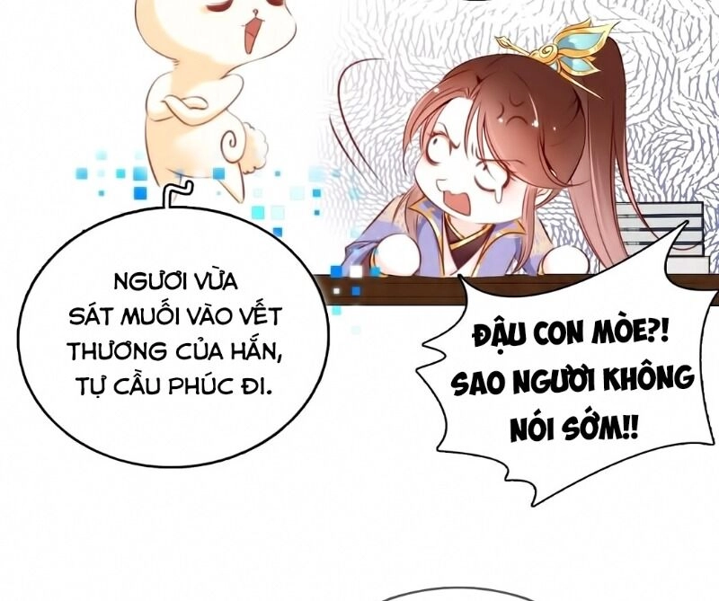 Nàng Trở Thành Bạch Nguyệt Quang Của Vương Gia Bệnh Kiều Chapter 4 - 22