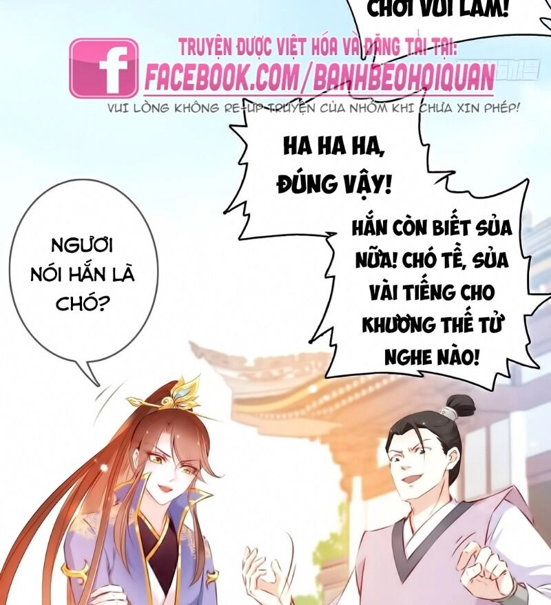 Nàng Trở Thành Bạch Nguyệt Quang Của Vương Gia Bệnh Kiều Chapter 5 - 8