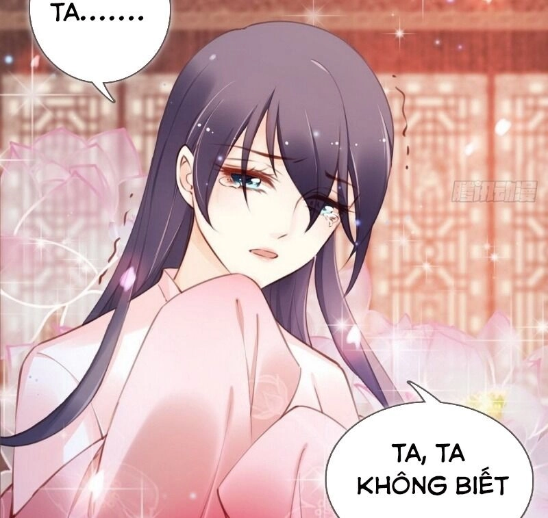 Nàng Trở Thành Bạch Nguyệt Quang Của Vương Gia Bệnh Kiều Chapter 8 - 23