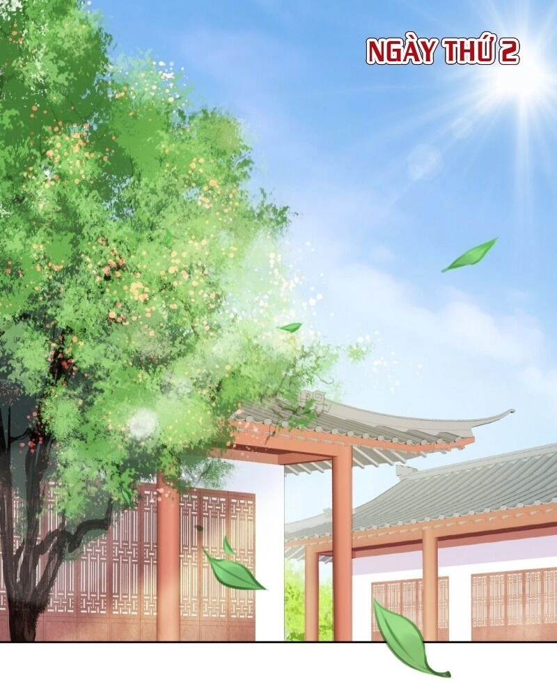 Nàng Trở Thành Bạch Nguyệt Quang Của Vương Gia Bệnh Kiều Chapter 10 - 2