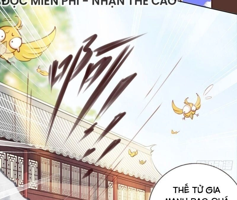 Nàng Trở Thành Bạch Nguyệt Quang Của Vương Gia Bệnh Kiều Chapter 12 - 57