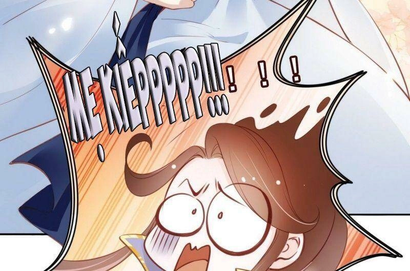 Nàng Trở Thành Bạch Nguyệt Quang Của Vương Gia Bệnh Kiều Chapter 13 - 47