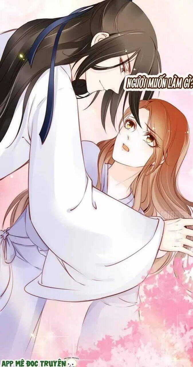 Nàng Trở Thành Bạch Nguyệt Quang Của Vương Gia Bệnh Kiều Chapter 21 - 33