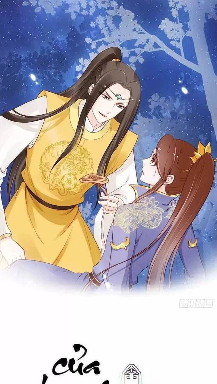 Nàng Trở Thành Bạch Nguyệt Quang Của Vương Gia Bệnh Kiều Chapter 33 - 1