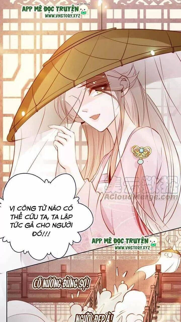 Nàng Trở Thành Bạch Nguyệt Quang Của Vương Gia Bệnh Kiều Chapter 50 - 8