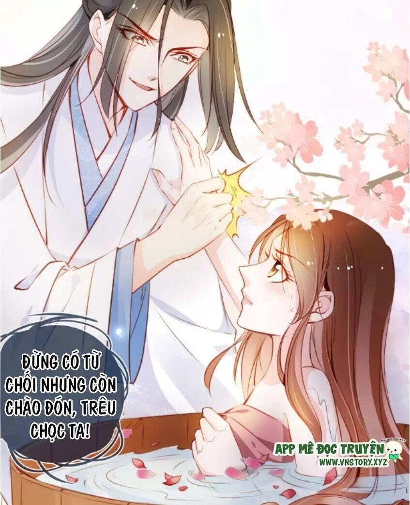 Nàng Trở Thành Bạch Nguyệt Quang Của Vương Gia Bệnh Kiều Chapter 65 - 14