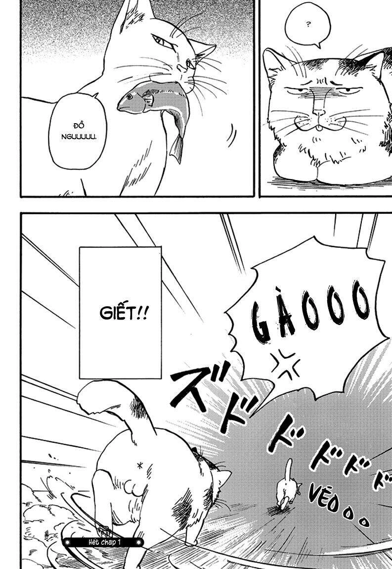 Tui Là Busamen Chapter 1 - 20