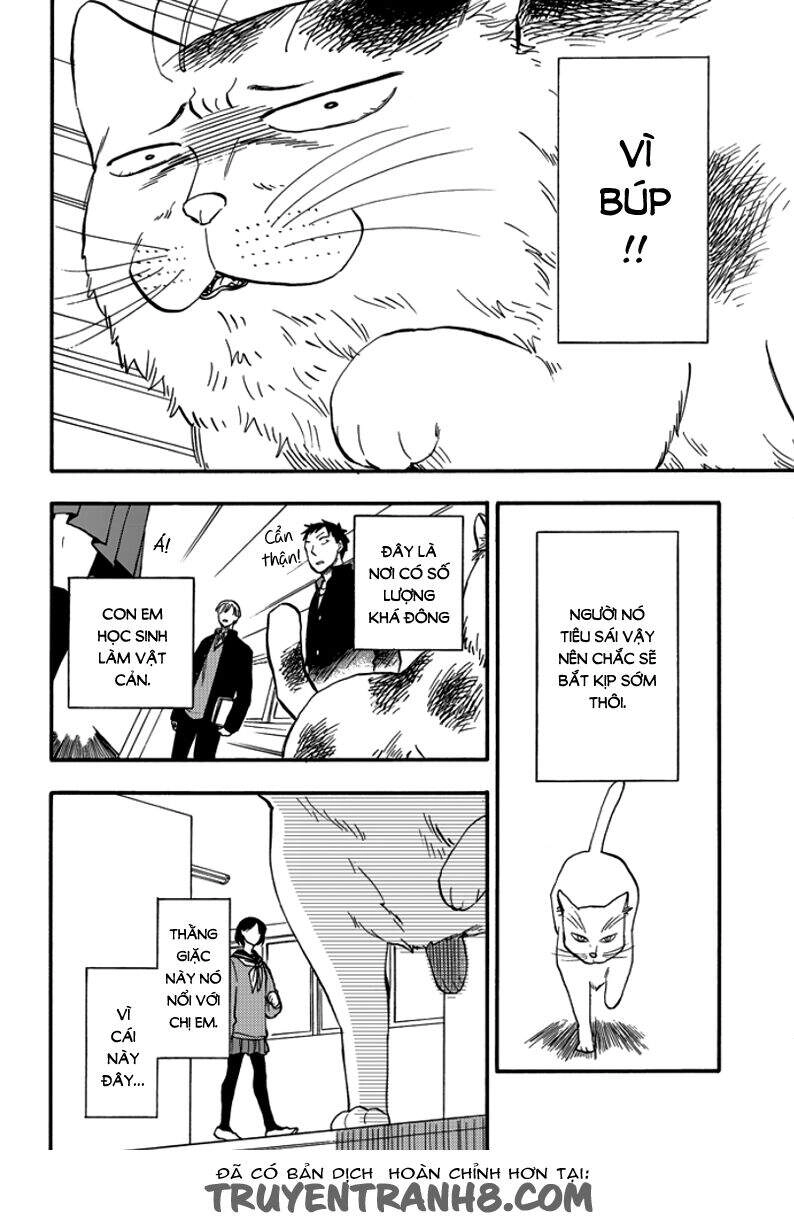 Tui Là Busamen Chapter 2 - 9