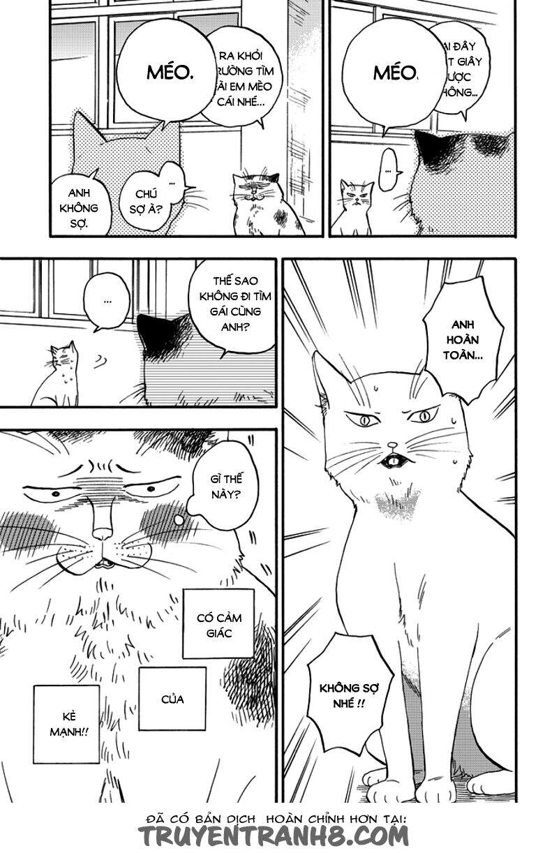 Tui Là Busamen Chapter 2 - 16