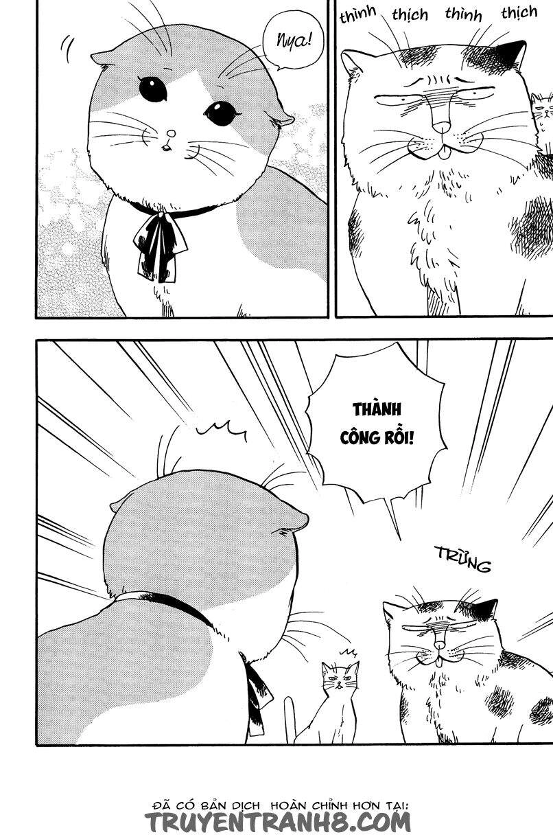 Tui Là Busamen Chapter 3 - 3