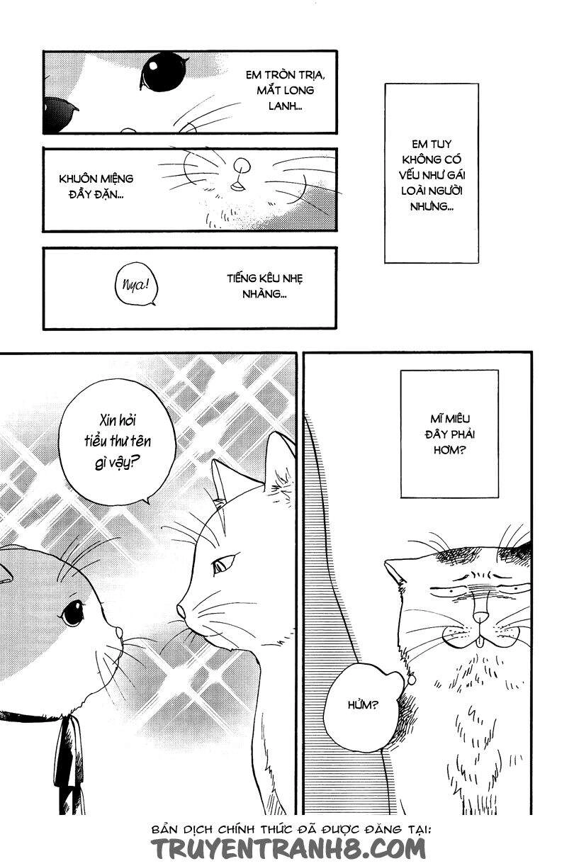 Tui Là Busamen Chapter 3 - 4