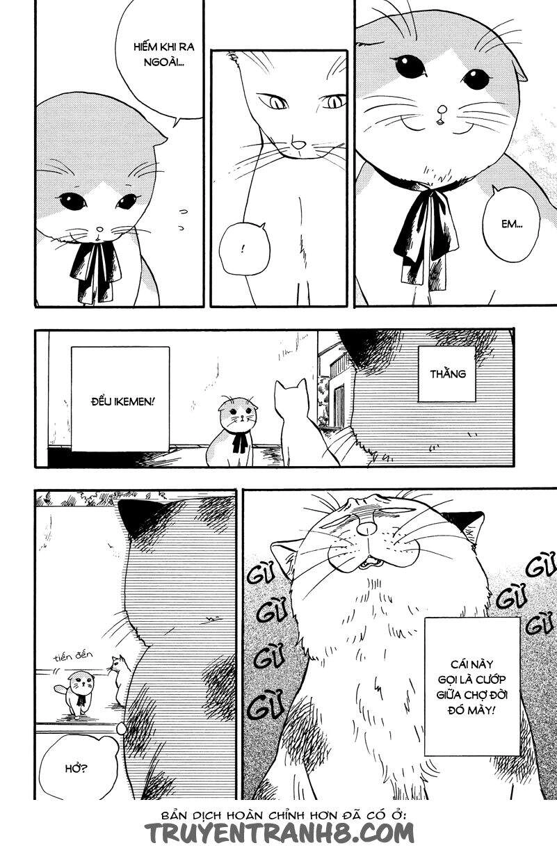 Tui Là Busamen Chapter 3 - 5