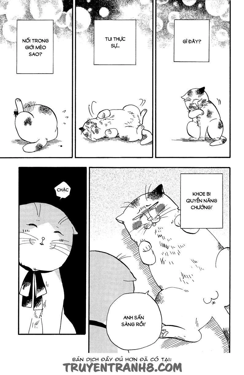 Tui Là Busamen Chapter 3 - 8