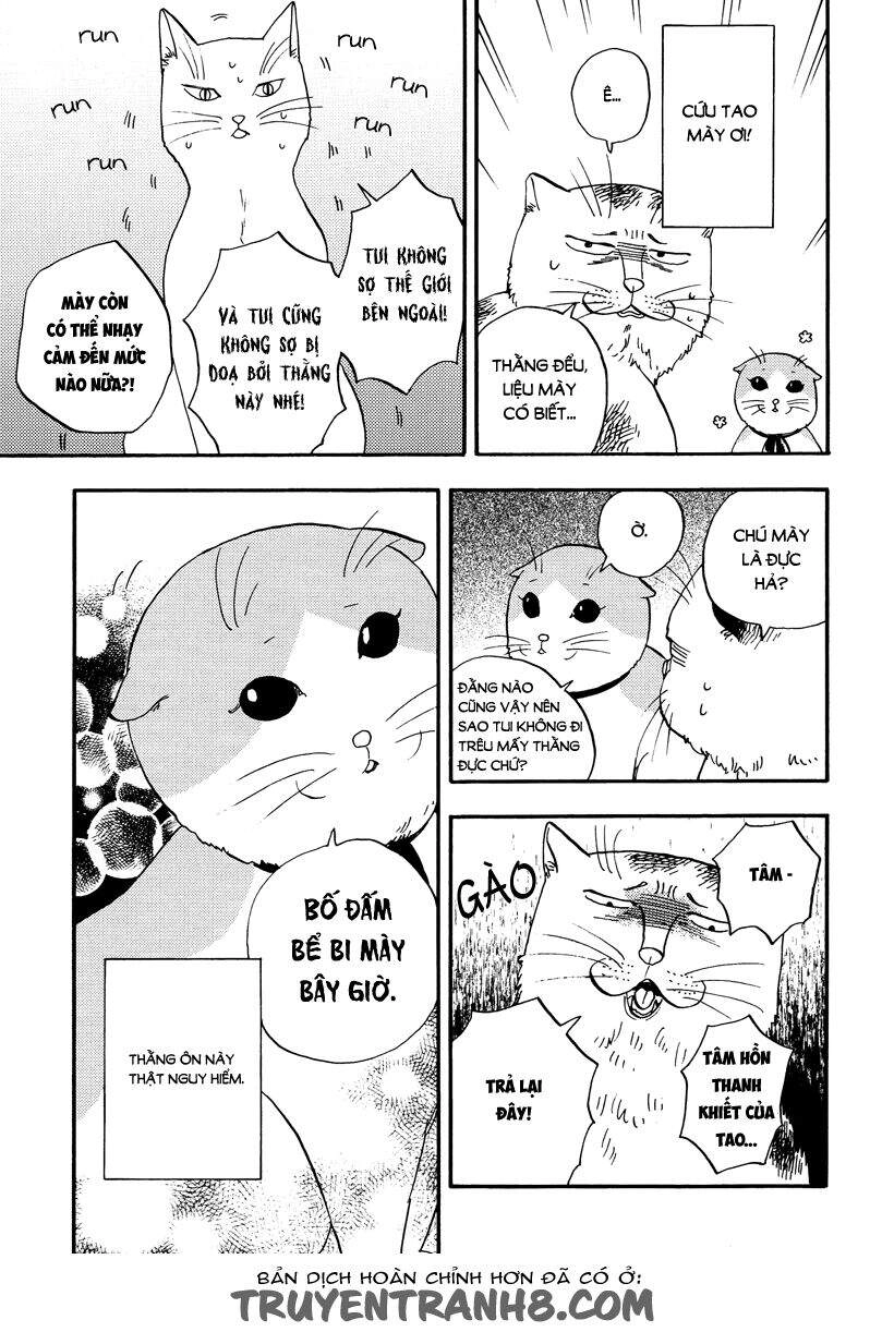 Tui Là Busamen Chapter 3 - 14