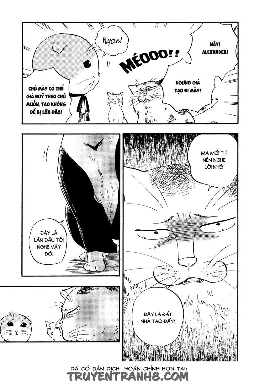 Tui Là Busamen Chapter 3 - 16