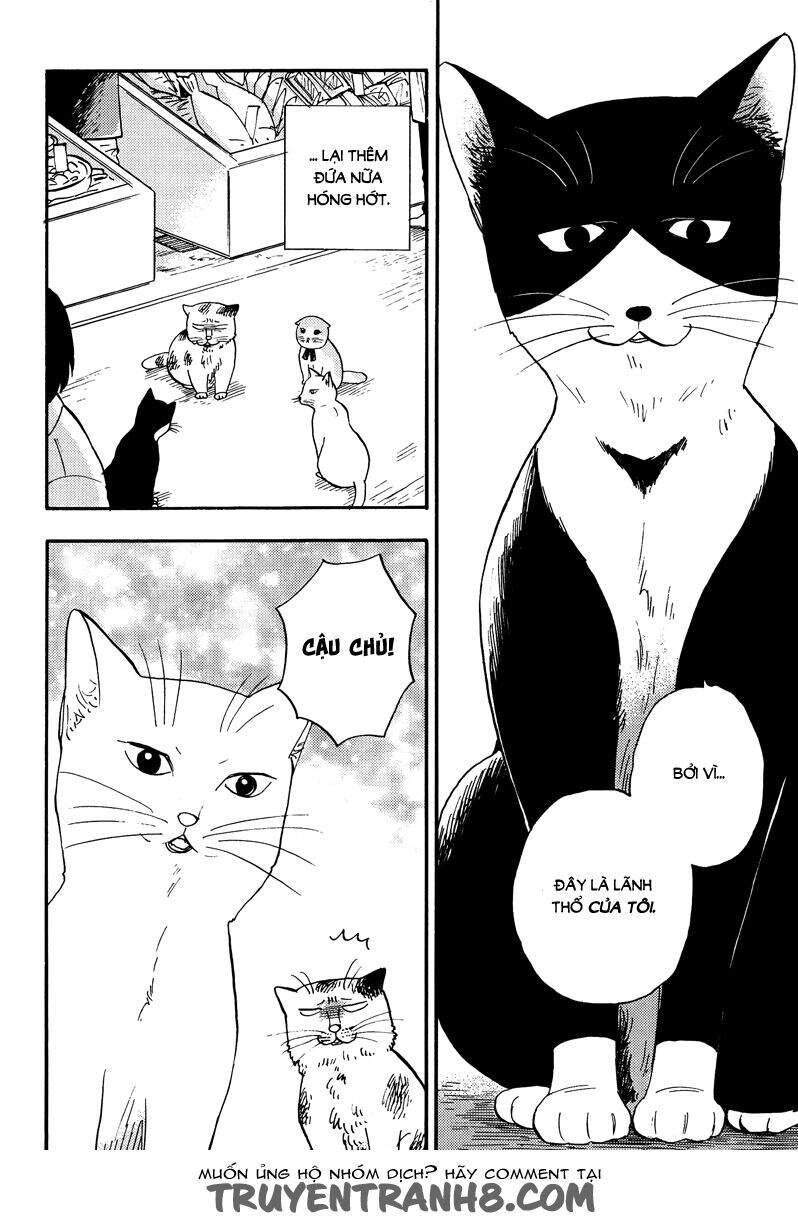 Tui Là Busamen Chapter 3 - 17