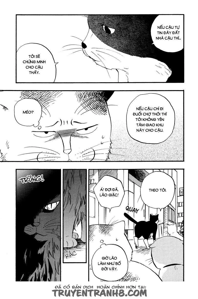 Tui Là Busamen Chapter 4 - 4