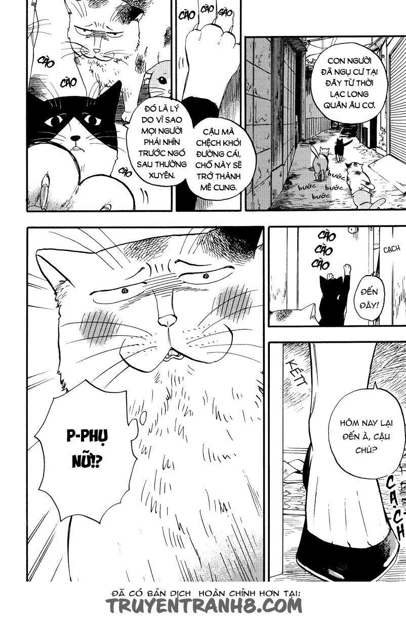 Tui Là Busamen Chapter 4 - 5