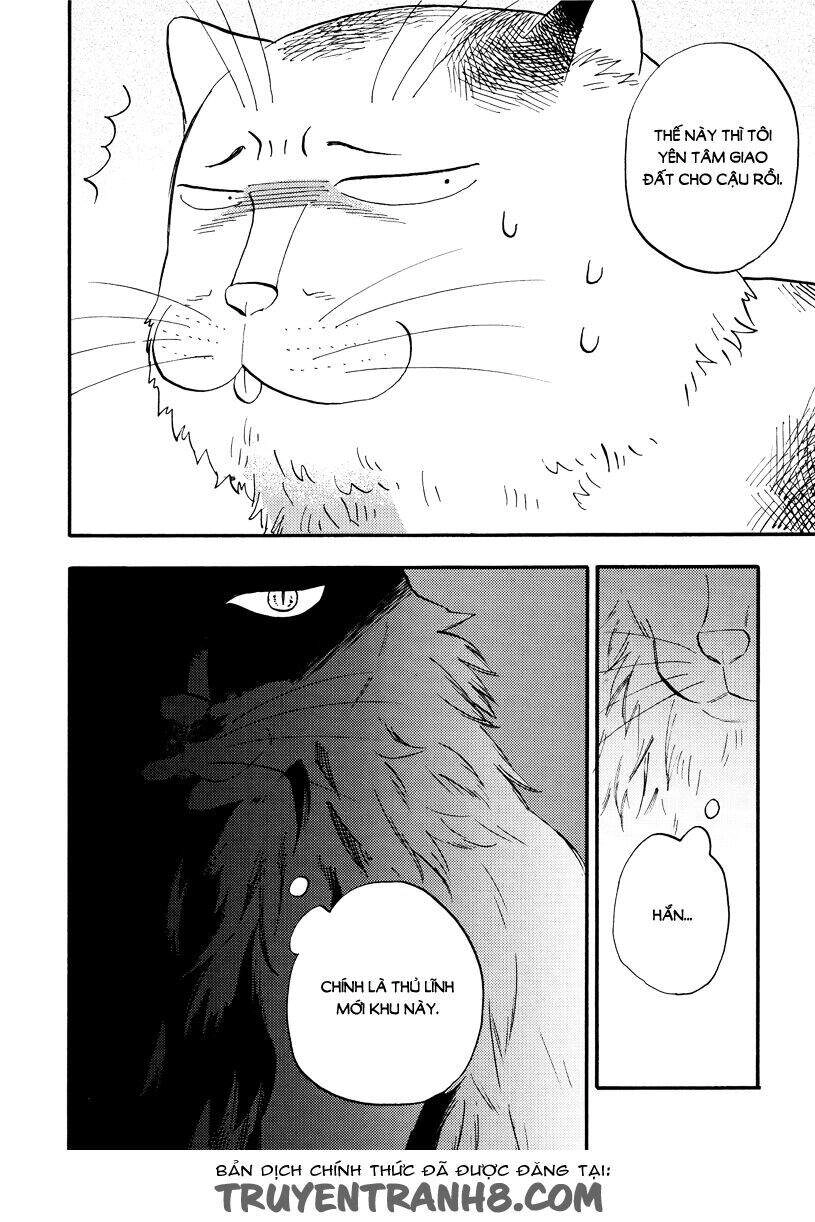 Tui Là Busamen Chapter 4 - 17