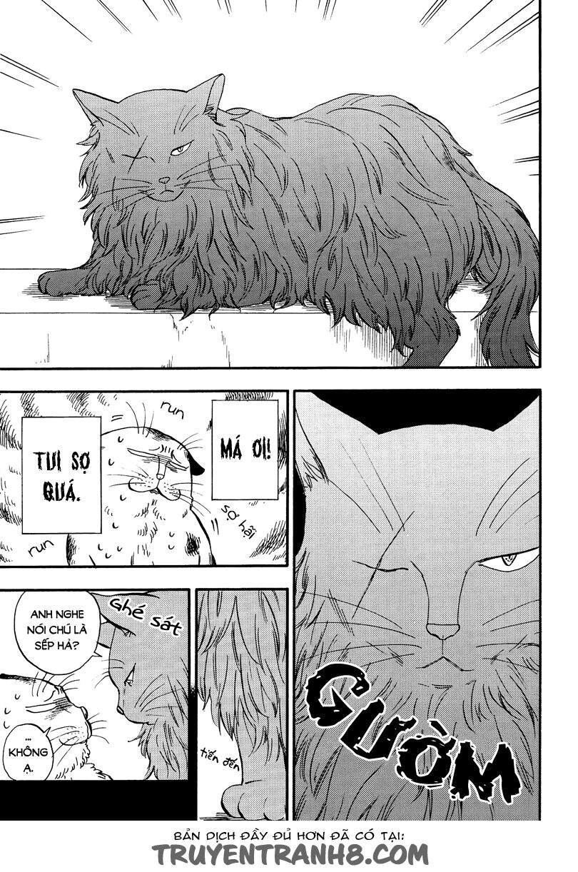 Tui Là Busamen Chapter 5 - 4