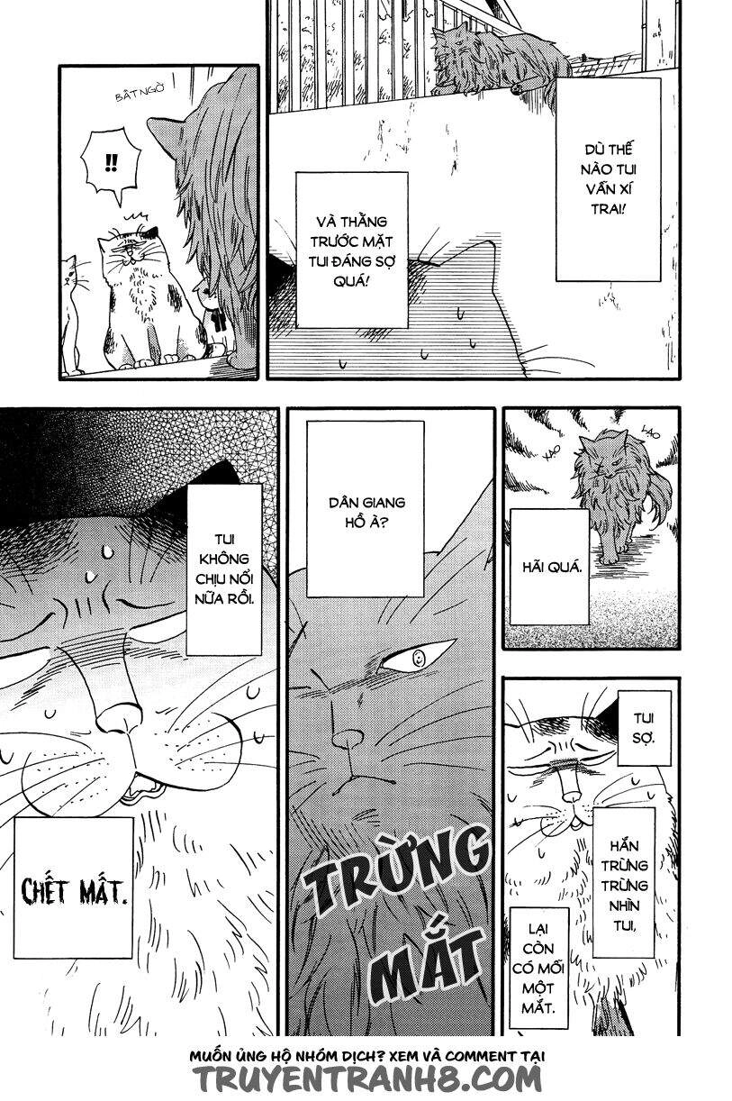 Tui Là Busamen Chapter 5 - 6