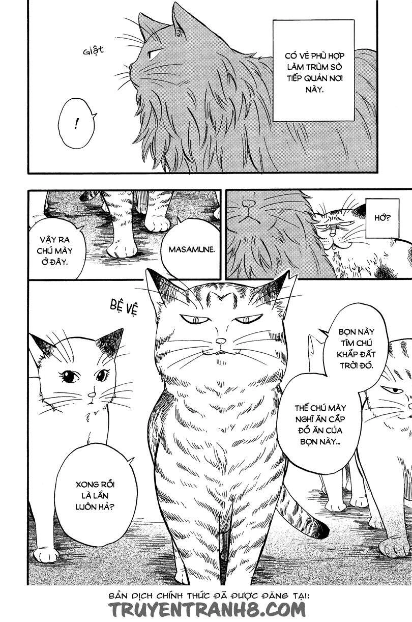 Tui Là Busamen Chapter 5 - 11