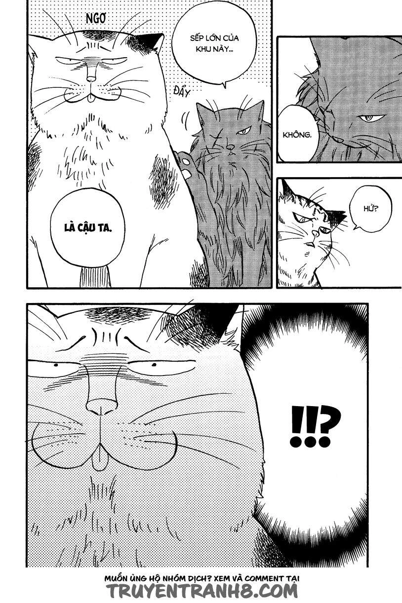 Tui Là Busamen Chapter 5 - 13