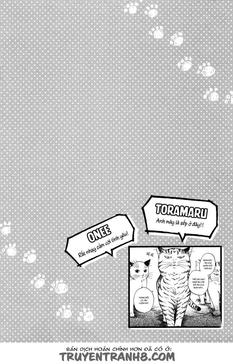 Tui Là Busamen Chapter 5 - 15