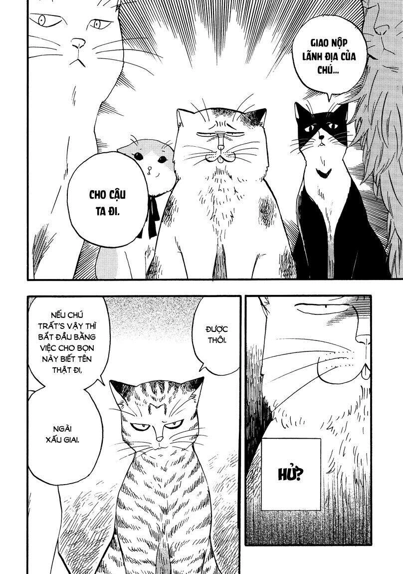 Tui Là Busamen Chapter 6 - 5