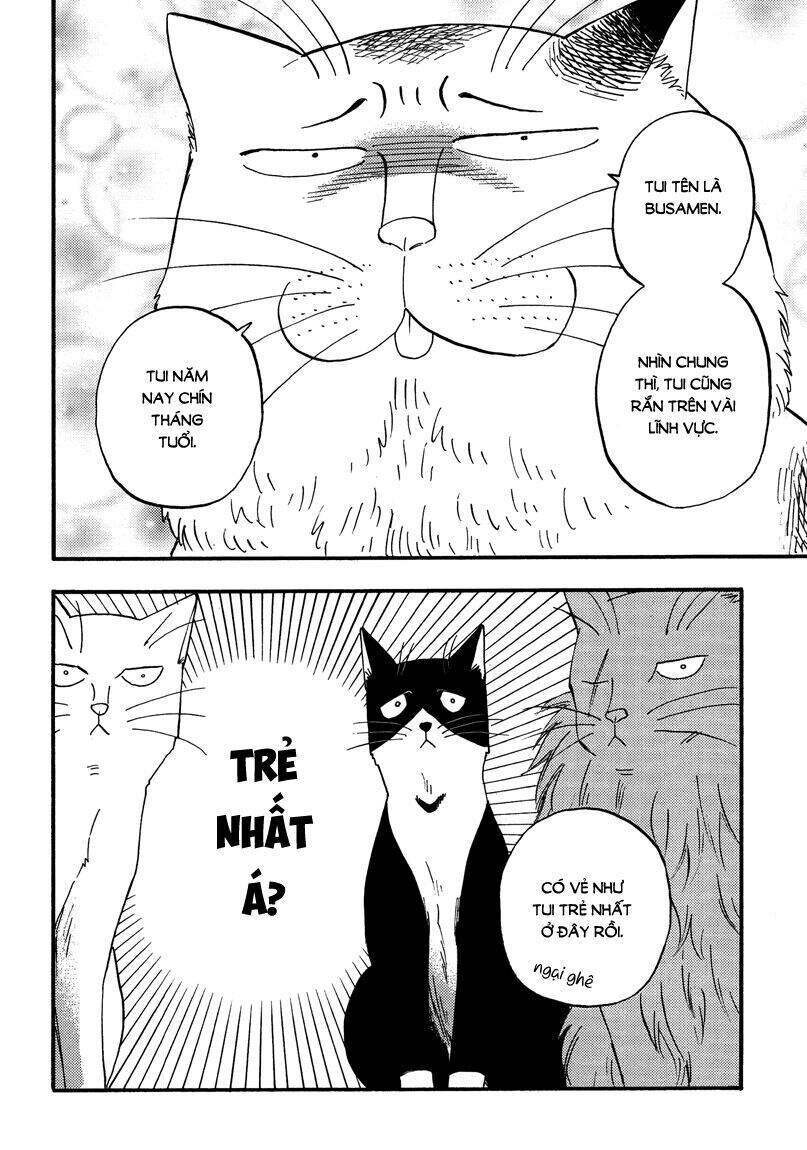 Tui Là Busamen Chapter 6 - 13