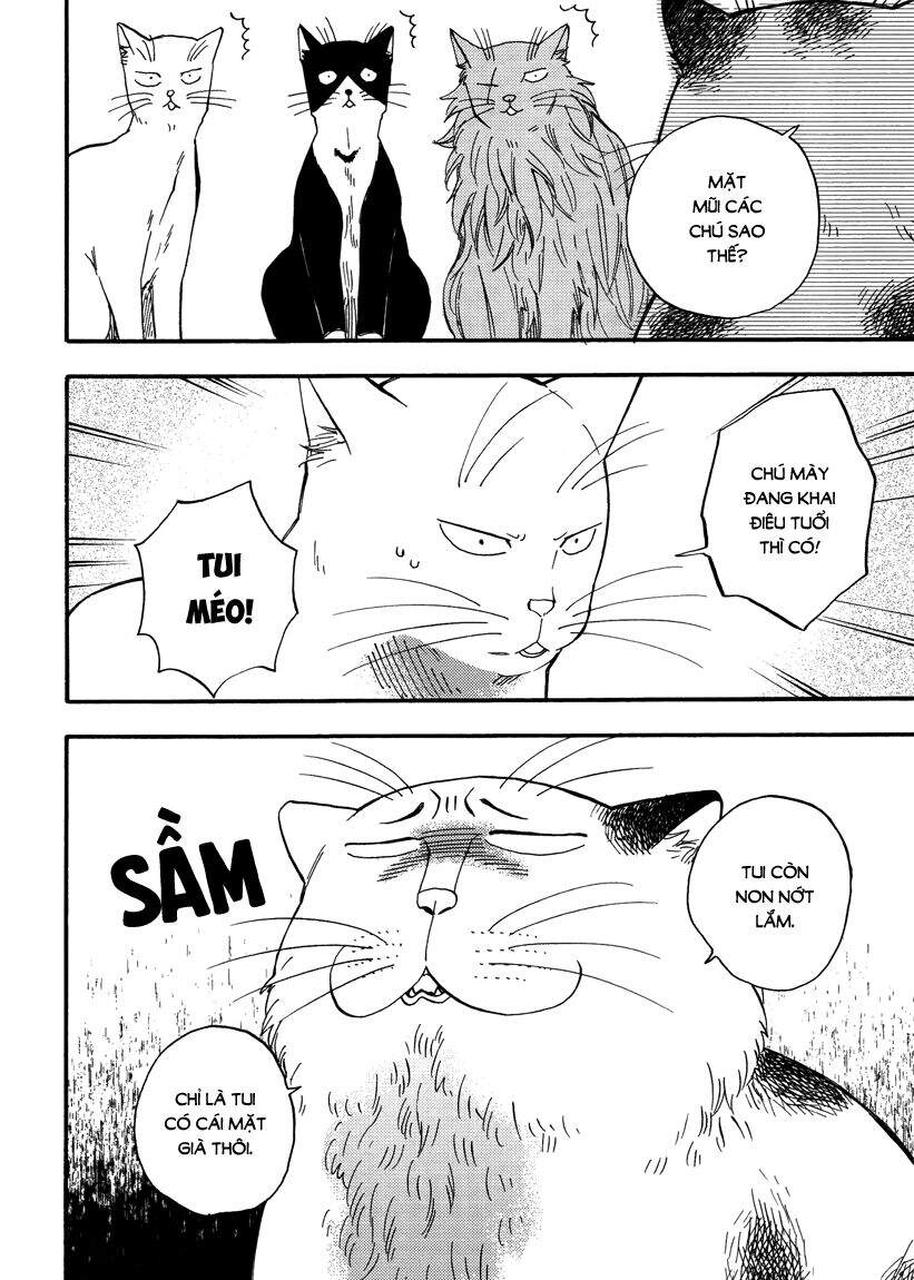 Tui Là Busamen Chapter 7 - 3