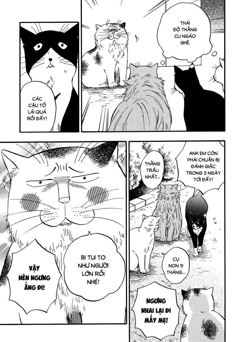 Tui Là Busamen Chapter 7 - 4