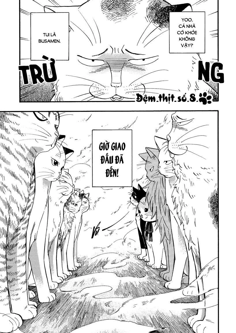 Tui Là Busamen Chapter 8 - 1