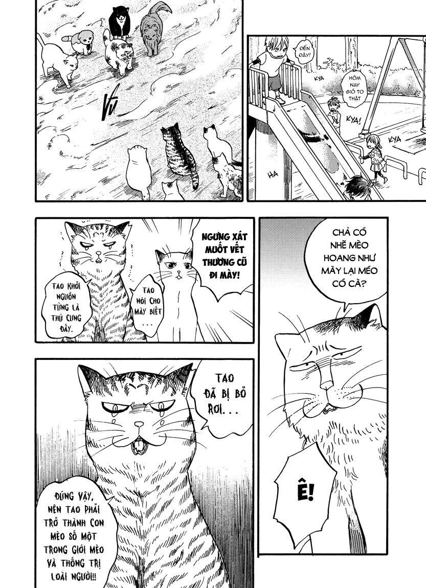 Tui Là Busamen Chapter 8 - 2