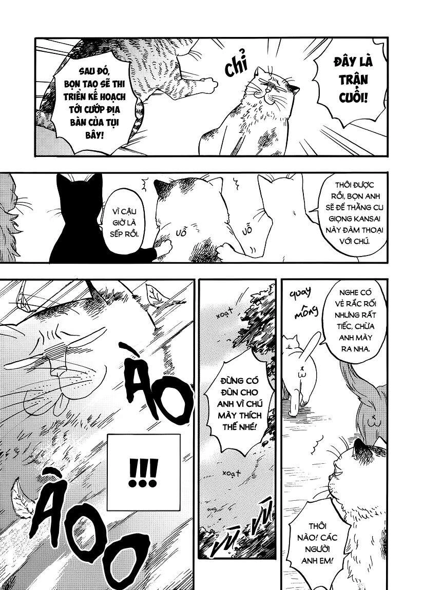 Tui Là Busamen Chapter 8 - 3