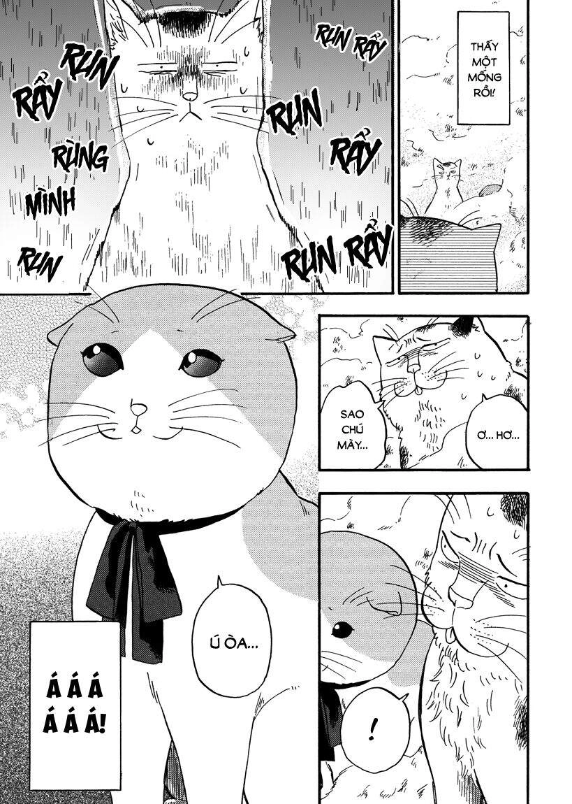 Tui Là Busamen Chapter 8 - 5