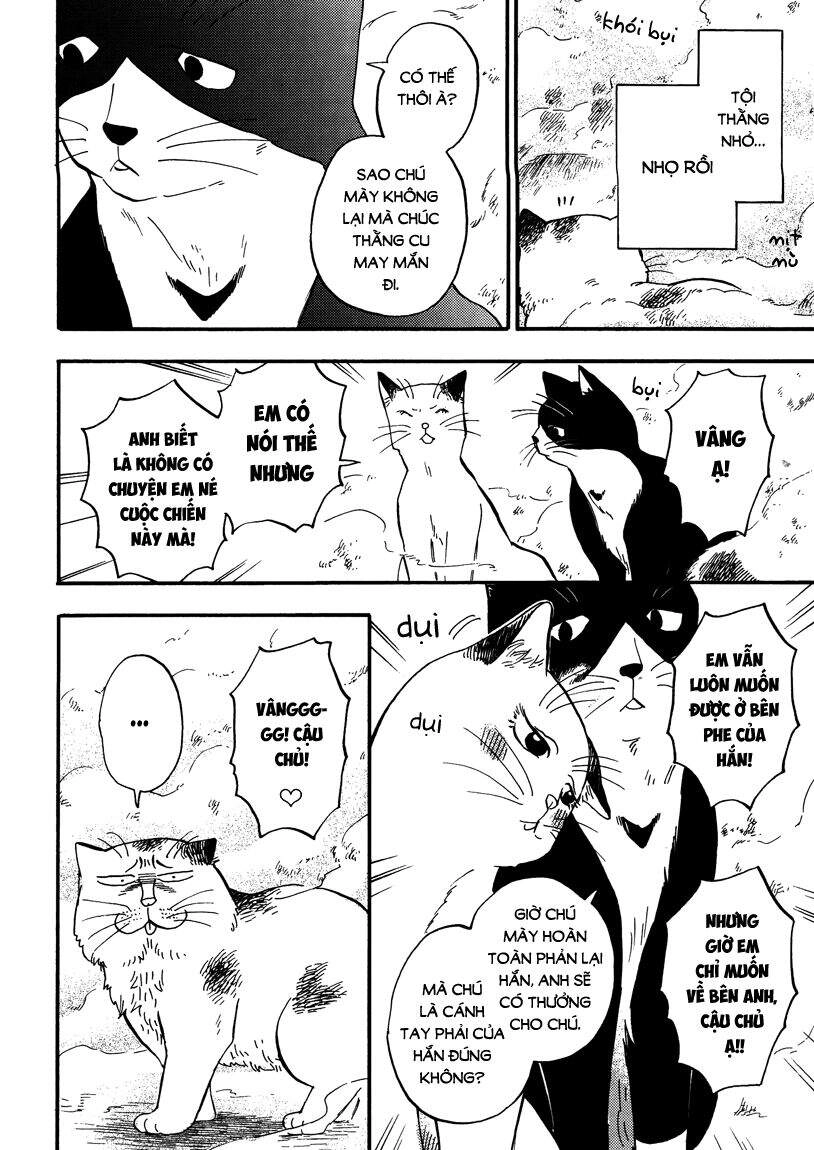 Tui Là Busamen Chapter 8 - 6