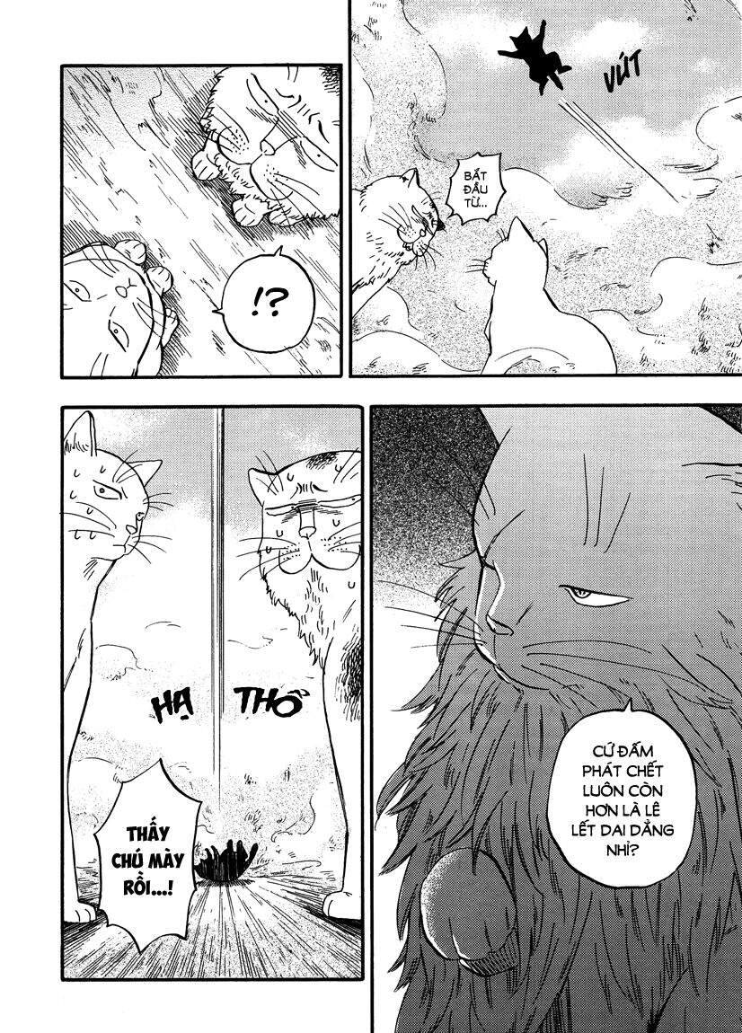 Tui Là Busamen Chapter 8 - 8