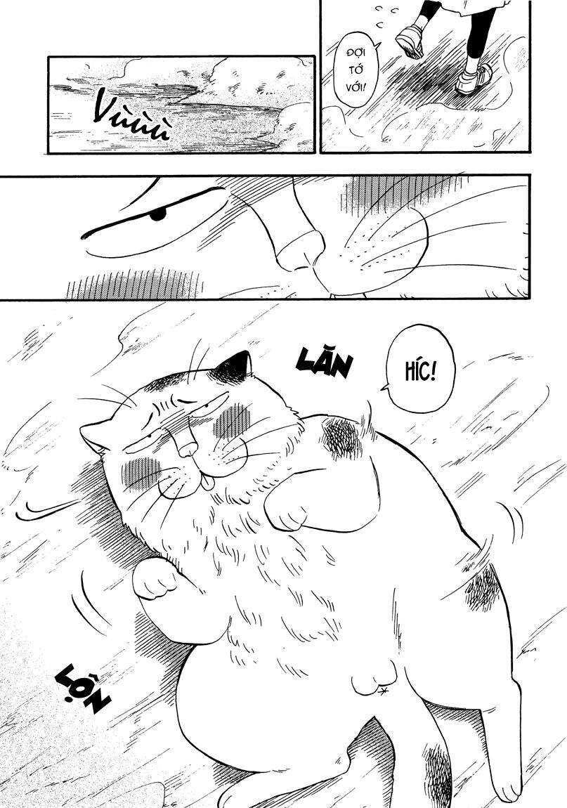 Tui Là Busamen Chapter 8 - 11