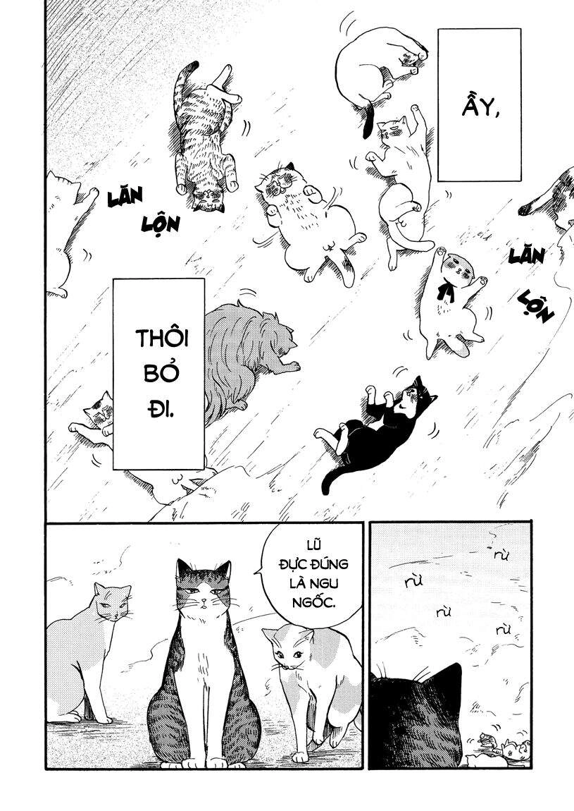 Tui Là Busamen Chapter 8 - 12